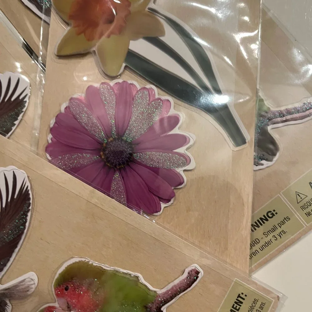 Mixed Bird & Flower Foam Stickers 10 Packs Home‎ Décor DIY Projects NEW